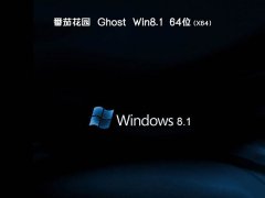 ghost win8.1 64λ ׼v2018.12