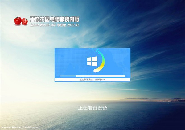 黑鲨 Win10 x64 好用专业版