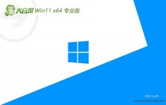 ײ⼤win11 64λ޹v2024.05