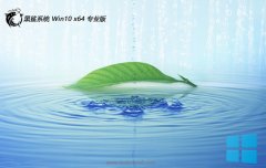 ϵͳv2025.05win10 64λð