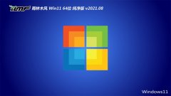 ľWindows11 64λ ǿ 2021.08